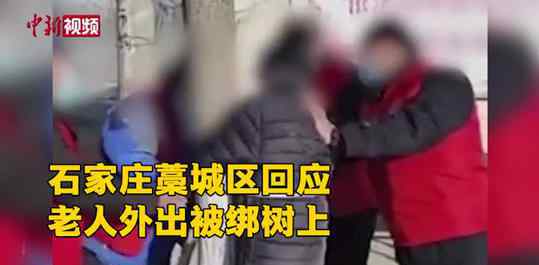 白岩松评老人遭执勤人员绑树谩骂 还原事发经过及背后真相！