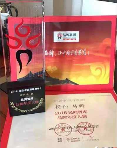 易鹏 盘古智库理事长易鹏荣获“2016民间智库品牌年度人物”