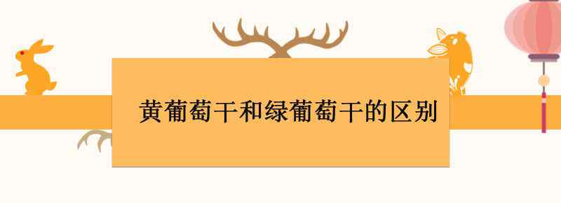 黄葡萄干和绿葡萄干的区别