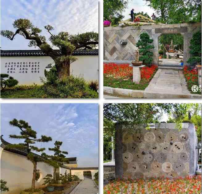 花博会 记者带你看2018浙江花博会展馆