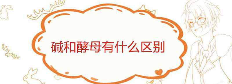 碱和酵母有什么区别