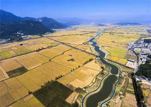 河道生态治理 携手乡村振兴 乡村河道生态治理的温州经验