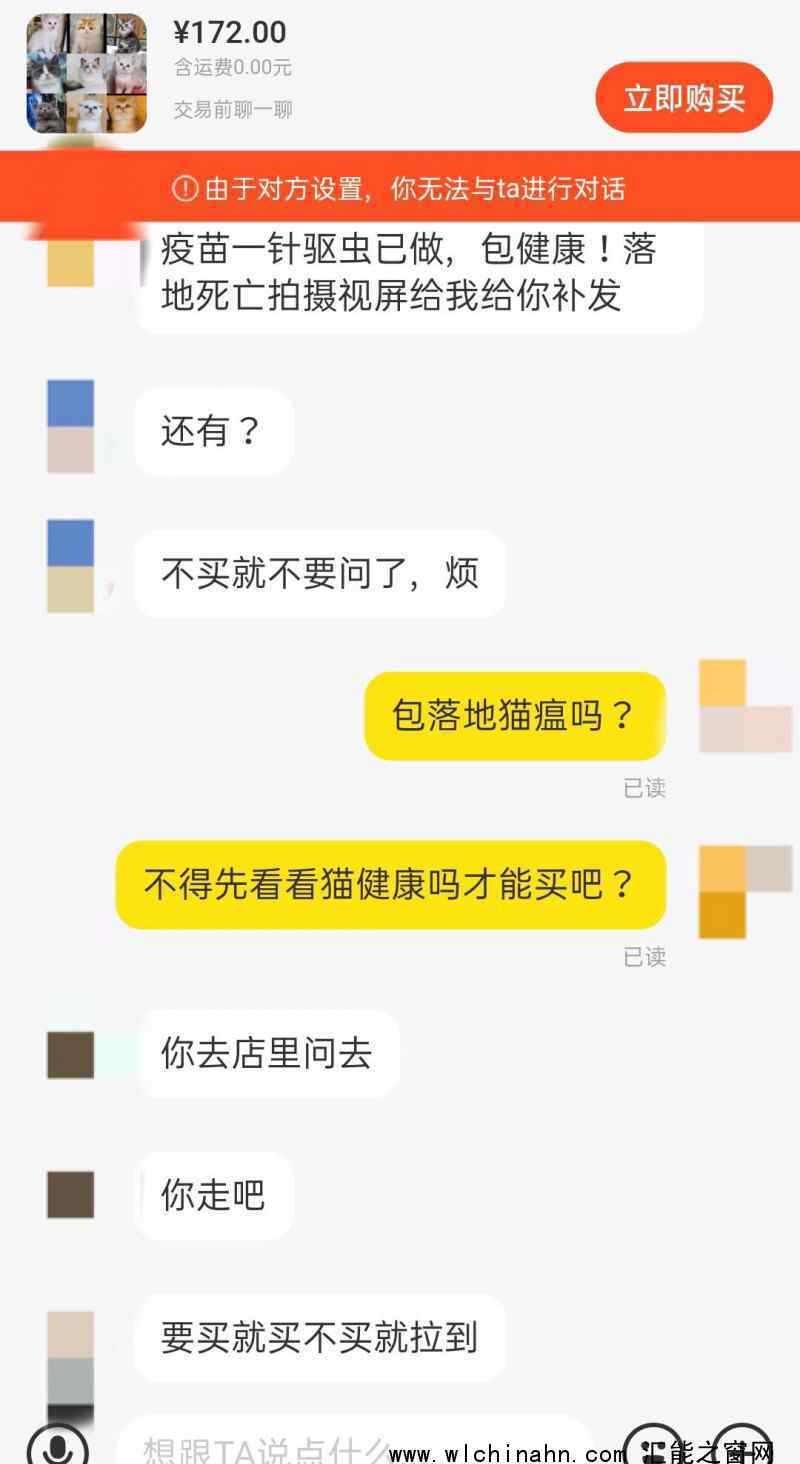 起底活体动物盲盒乱象:售出不退换 究竟发生了什么