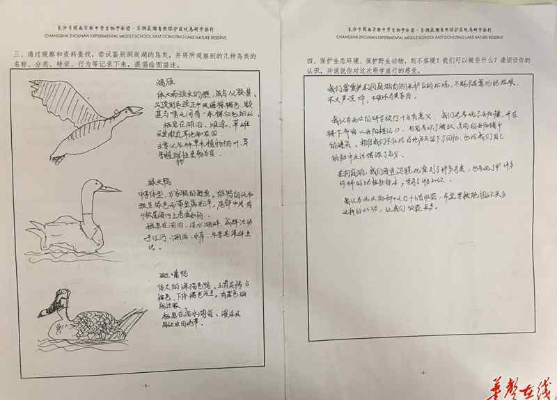 岳阳楼旅游 “跟着课本去旅行” 周南学子“研学旅行”登上岳阳楼