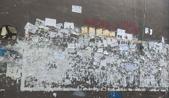 问政平台 问政回音|5·20 网民发帖表白重庆网络问政平台