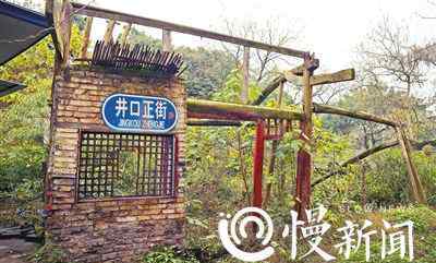 冷清 青石板路布满青苔 小码头已孤寂冷清最后的井口老街