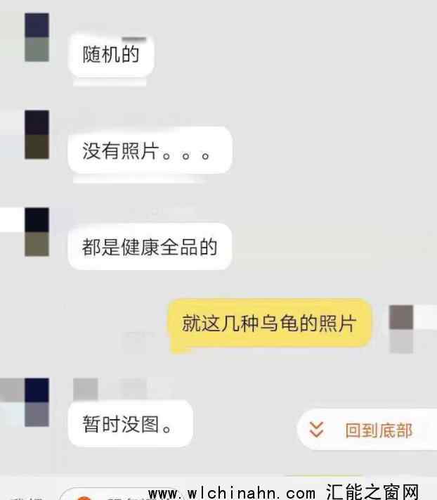 起底活体动物盲盒乱象:售出不退换 究竟发生了什么
