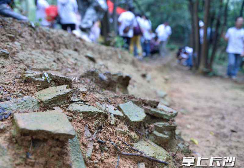 长沙汉王陵 市民探秘汉长沙国王陵遗址 “剧透”遗址公园4年建设规划