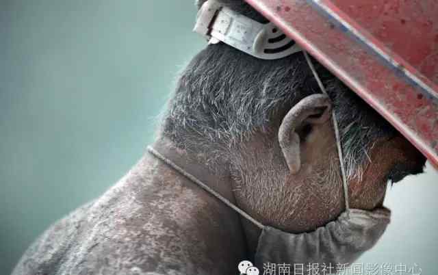 8月照相馆 八月照相馆｜湖南影像月度精选