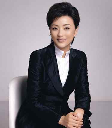 央视主持人工资排行榜 汪涵年入千万赵普月入六千 曝名嘴主持收入/图