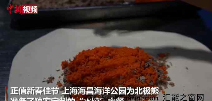 上海北极熊过年吃到4斤重大饺子 春节加餐了!