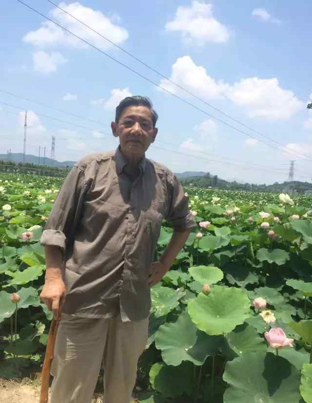 我的故乡是北京 湘人湘歌丨侗歌向着北京唱 我以"四愿"酬故乡