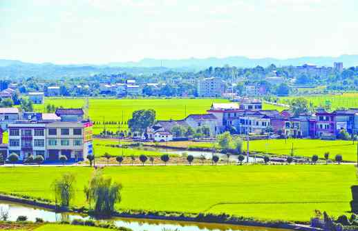 突破农村岳 喜迎十九大·"小村故事"⑨丨岳北村：“半边天”引领乡村新发展