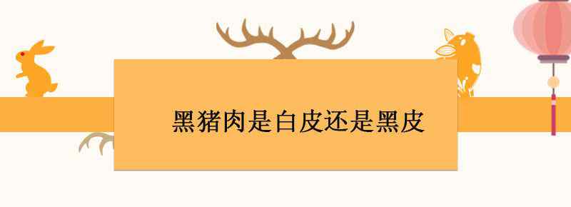 黑猪肉是白皮还是黑皮