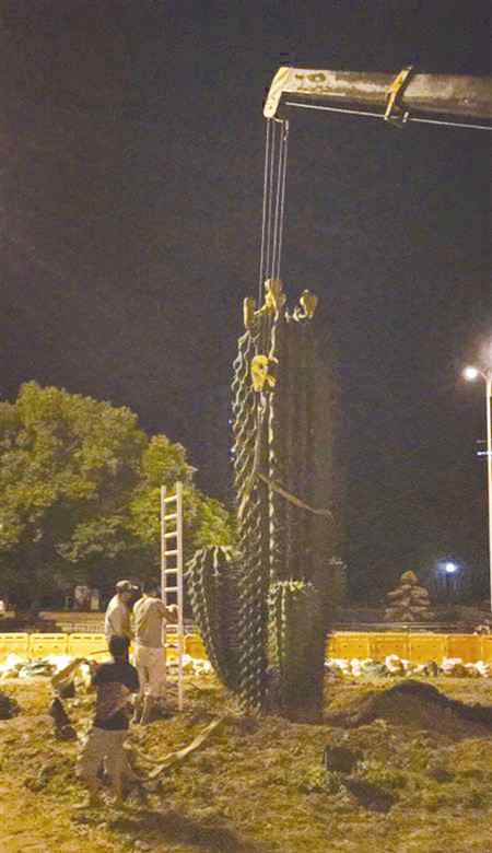 绿岛电影院 白鹿影城附近的大仙人掌哪去了 因绿岛改造被拔除