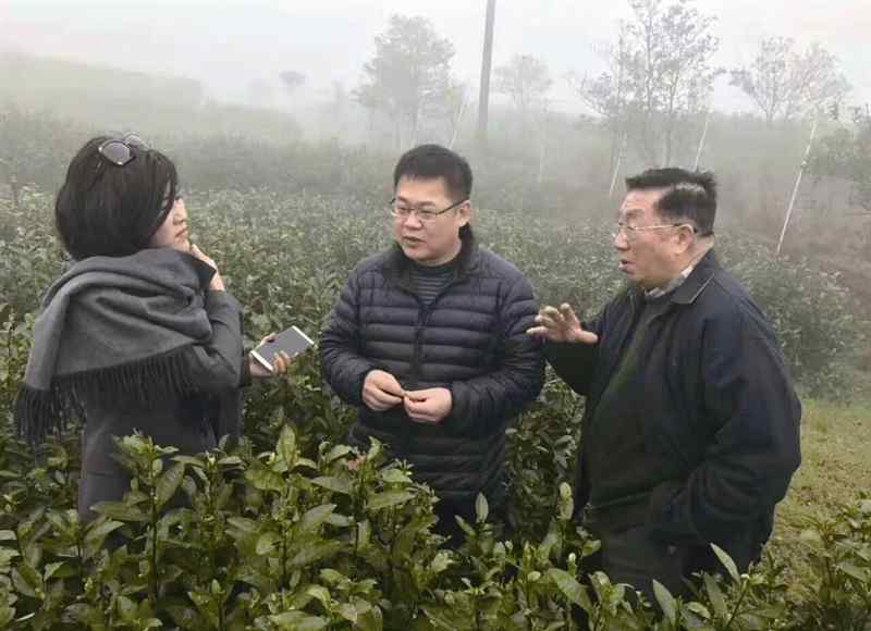中医院士 “老中医”牵手“茶院士”，皮肤病领域寻突破