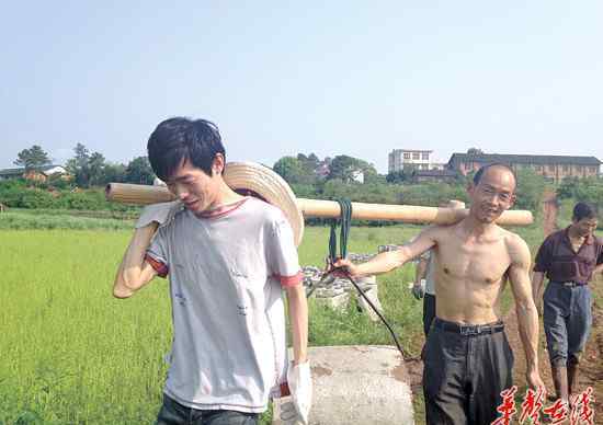 湖南村官 湖南"最美村官"出炉 秦玥飞彭文华刘胜脱颖而出