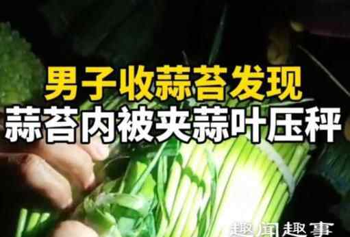 男子收农户家的蒜苔发现不对劲 掏出一看立马不淡定了