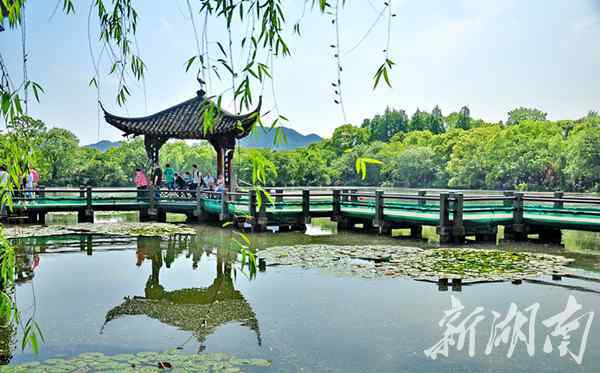 孙文友 新湖南记者在G20｜在杭州生活是什么体验？