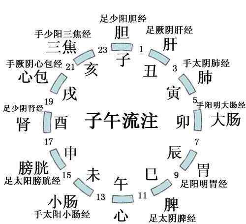 十二经络运行时间 十二经络运行时间