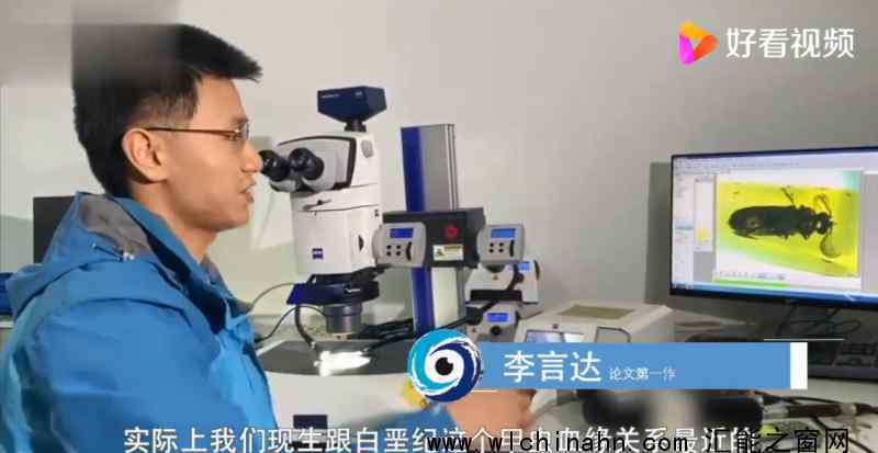 科学家发现1亿年前萤火虫祖先 到底是怎么发现