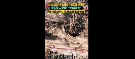 大蛇坟头晒太阳引村民祭拜 为什么会这样