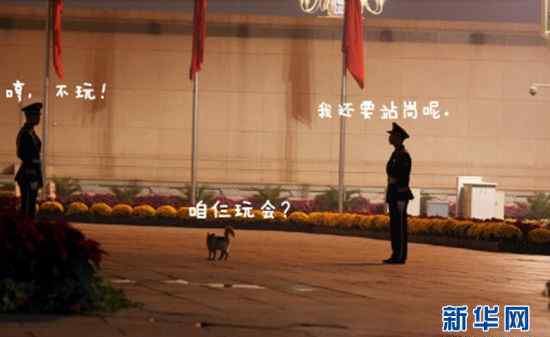 天安门喵星人 天安门喵星人PK执勤武警萌翻网友（组图）