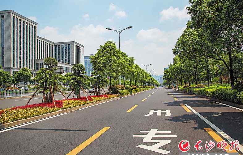 万向公园 长沙金星路“六位一体”提质改造全面完工 带动沿线业态升级