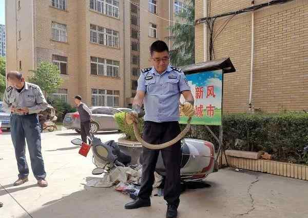 雄黄驱蛇 警惕！天气热蛇出没 撒硫磺、雄黄可以驱蛇