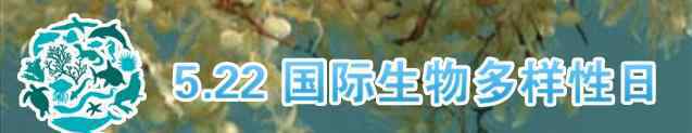 稀有植物 国际生物多样性日，来看看湖南这些珍稀动植物