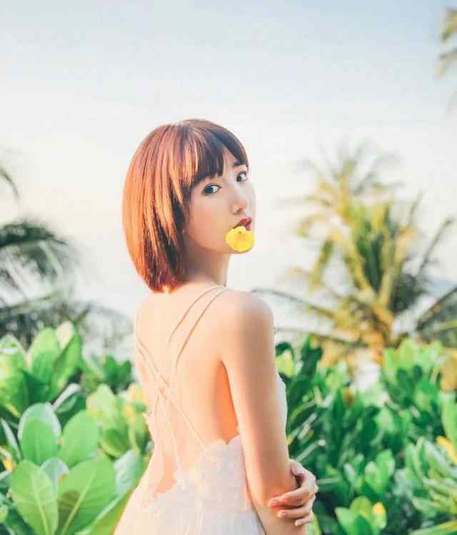 毛晓彤八卦 小八卦，杨紫，毛晓彤，贾乃亮
