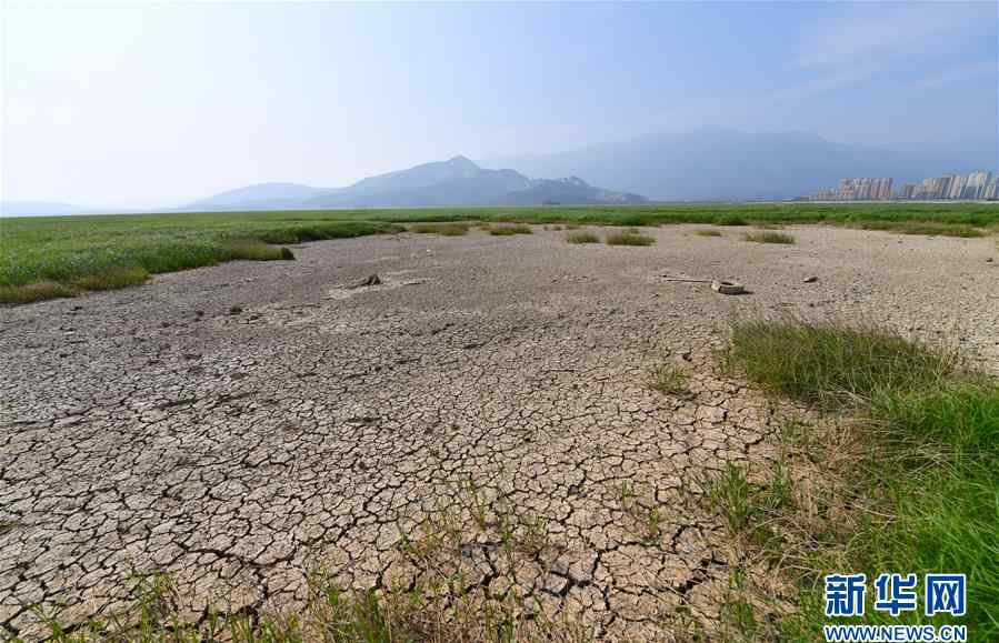 鄱阳湖大旱 鄱阳湖遭遇大旱 千年落星墩完全显现