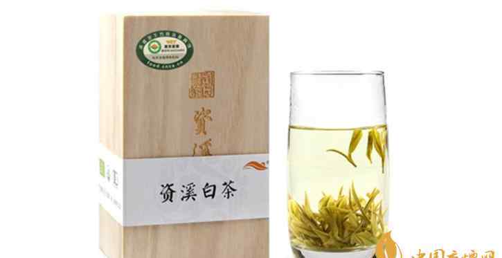 资溪白茶是什么茶 资溪白茶的功效与作用详情介绍