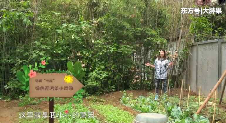 周海媚的老公 54岁周海媚独居北京 坐拥超大菜园 坦言不需要找个男人来碍事