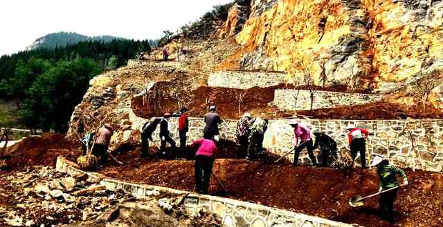 博山新闻网 博山区精心打造县道绿化标杆路“网红路”文章配图
