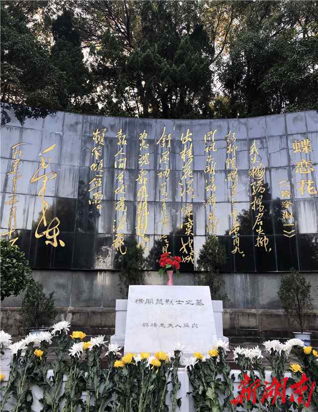 向振熙 独家|同月同日死 同龄同初心 杨开慧和江姐两位烈士的不解情缘