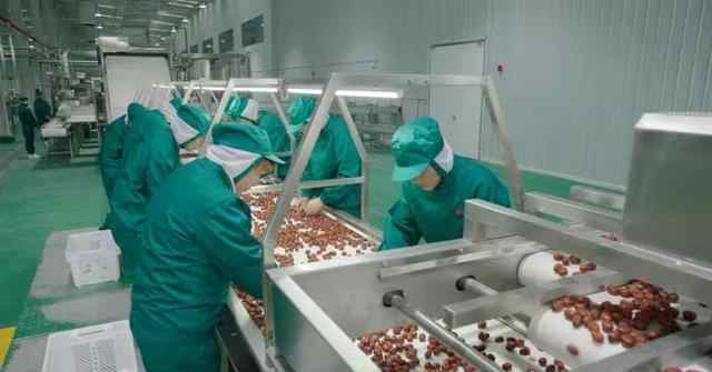 红枣深加工技术 有了红枣深加工项目，重振枣农信心