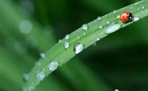 辽宁最近三天天气预报 快讯！辽宁省气象台发布今（21日）起未来三天天气预报