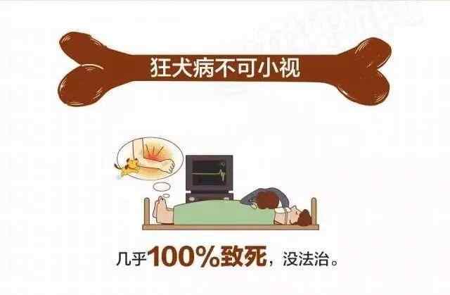 申生宠物 【提示】2020年青浦区狂犬疫苗定点免疫点都在哪儿？小编带你来看看！