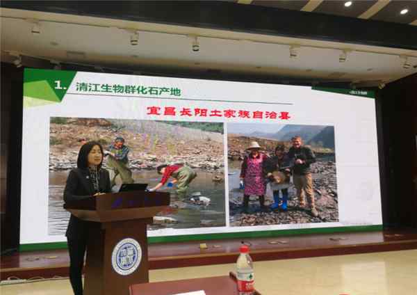 宜昌现清江生物群 宜昌现清江生物群 揭示寒武纪之秘的新宝藏出土了