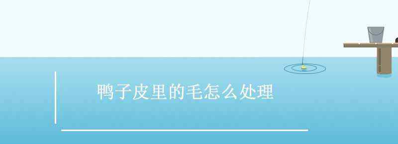 鸭子皮里的毛怎么处理