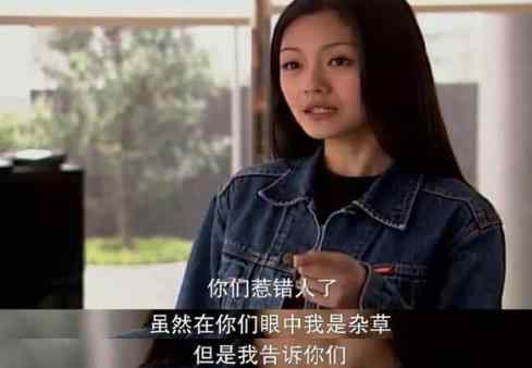 红苹果乐园演员现状 有人嫁豪门，有人沦落四线，有人开餐馆，《红苹果乐园》演员现状文章配图