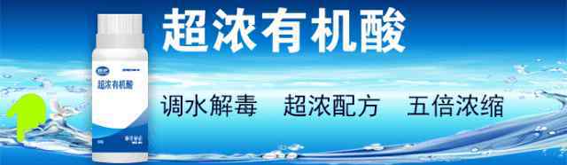 田螺养殖 田螺怎么养殖？田螺的养殖方法与管理