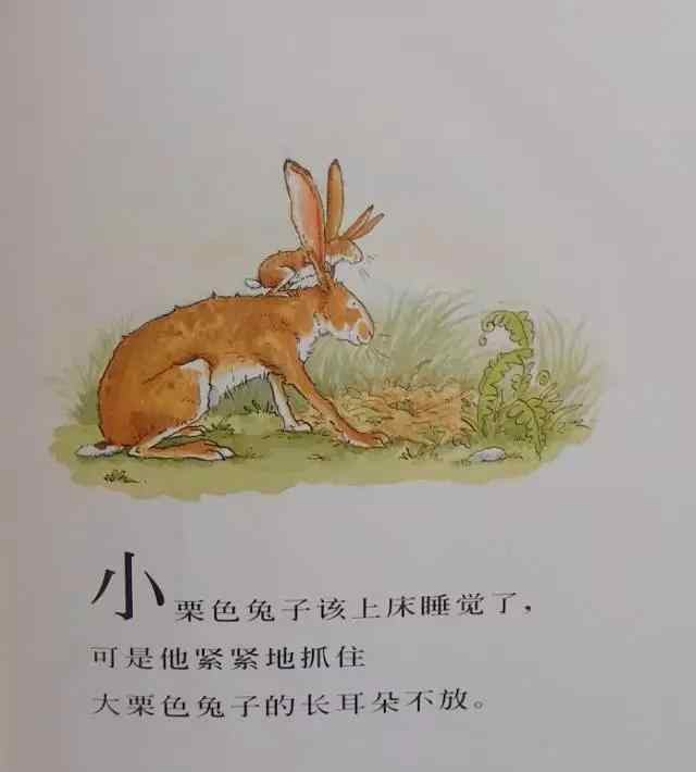 猜猜我有多爱你绘本图 亲子绘本《猜猜我有多爱你》