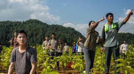 江山如此多娇电视剧在线播放 完整版高清全集黑蚂蚁有吗
