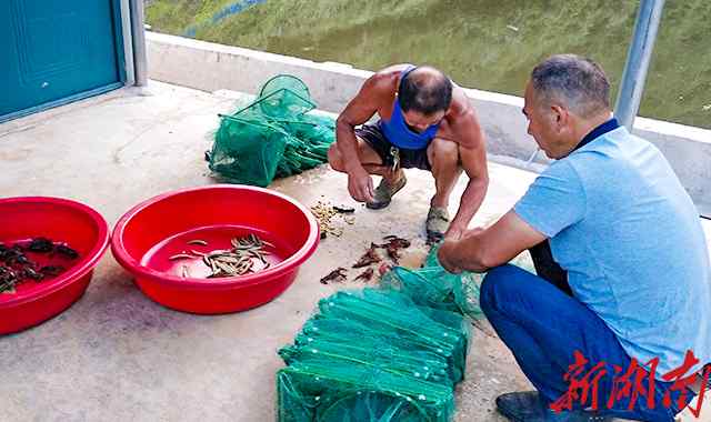 新田金水湾休闲会所 靖州：清水湾成了“金水湾”