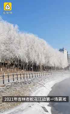 吉林松花江畔迎来新年首场雾凇 为什么会这样