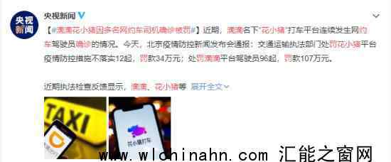 滴滴花小猪因多名网约车司机确诊被罚 究竟发生了什么