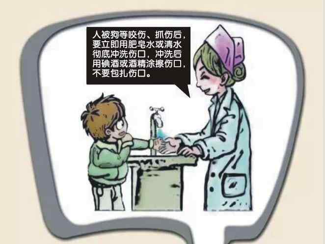 上海申生 【提示】2020年青浦区狂犬疫苗定点免疫点都在哪儿？小编带你来看看！
