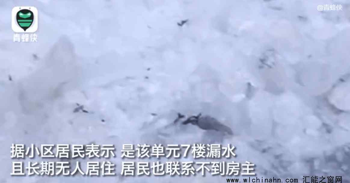 小区楼顶漏水一夜整栋楼成冰瀑布 究竟发生了什么
